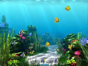 Приключения Аннабель: магазин тропических рыбок screenshot