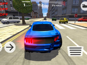 Симулятор экстремального вождения screenshot