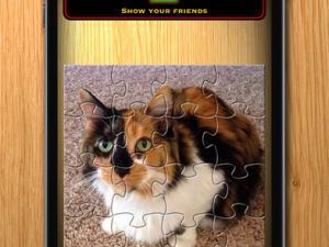 Jigsaw Puzzle screenshot