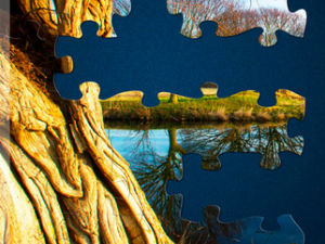 Magic Jigsaw Puzzles screenshot