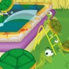 Turtle Pool